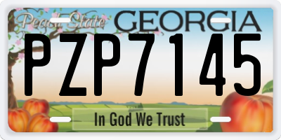 GA license plate PZP7145