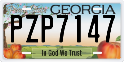GA license plate PZP7147