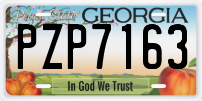 GA license plate PZP7163