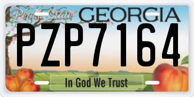 GA license plate PZP7164