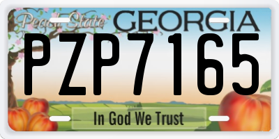 GA license plate PZP7165