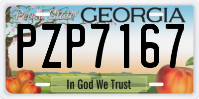 GA license plate PZP7167