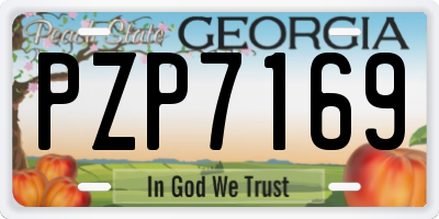 GA license plate PZP7169