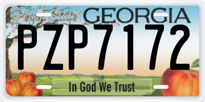 GA license plate PZP7172