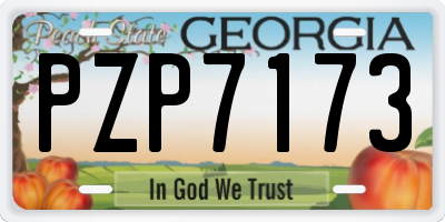 GA license plate PZP7173