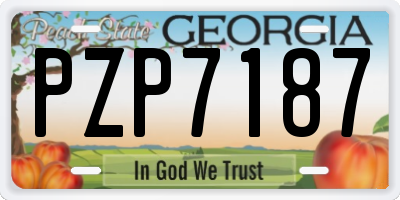GA license plate PZP7187