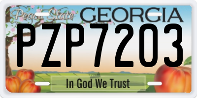 GA license plate PZP7203