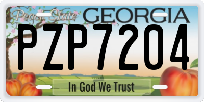 GA license plate PZP7204