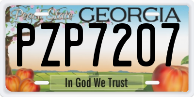 GA license plate PZP7207