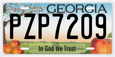 GA license plate PZP7209