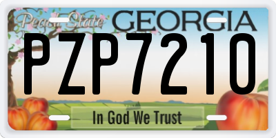 GA license plate PZP7210