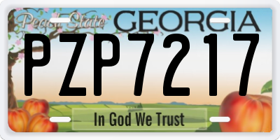 GA license plate PZP7217