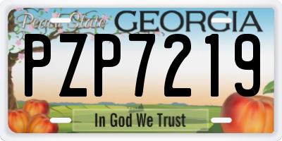 GA license plate PZP7219