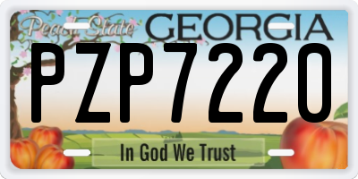 GA license plate PZP7220