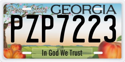 GA license plate PZP7223