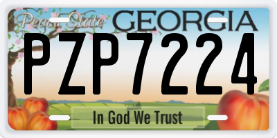 GA license plate PZP7224