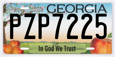 GA license plate PZP7225