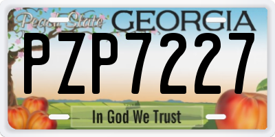 GA license plate PZP7227