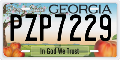 GA license plate PZP7229
