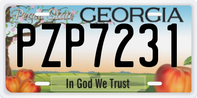 GA license plate PZP7231