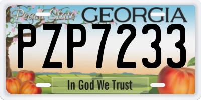 GA license plate PZP7233