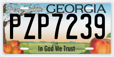 GA license plate PZP7239