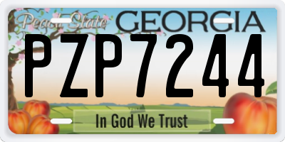 GA license plate PZP7244