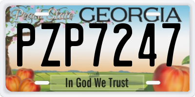 GA license plate PZP7247