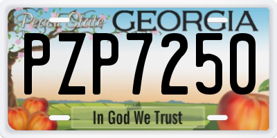 GA license plate PZP7250