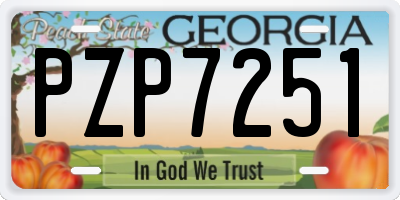GA license plate PZP7251