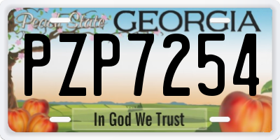 GA license plate PZP7254