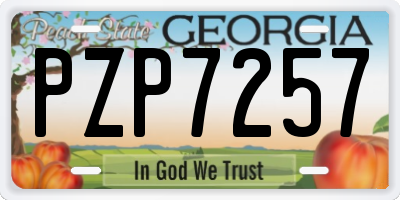 GA license plate PZP7257