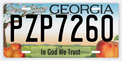 GA license plate PZP7260