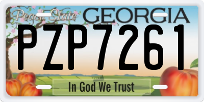 GA license plate PZP7261