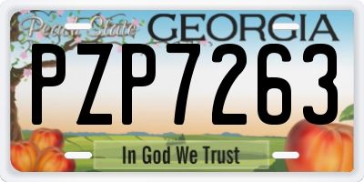 GA license plate PZP7263