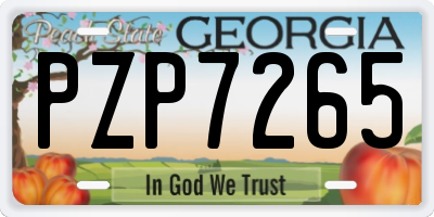 GA license plate PZP7265