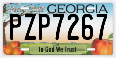 GA license plate PZP7267