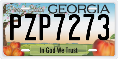 GA license plate PZP7273