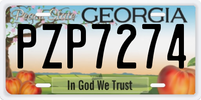 GA license plate PZP7274
