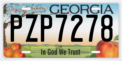 GA license plate PZP7278