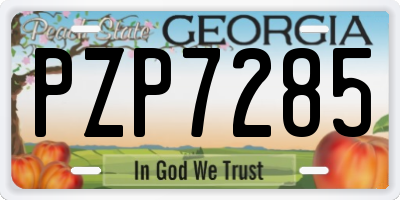 GA license plate PZP7285
