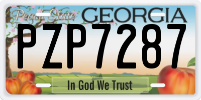 GA license plate PZP7287
