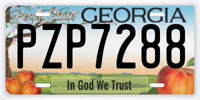 GA license plate PZP7288