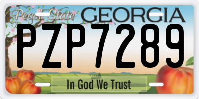 GA license plate PZP7289
