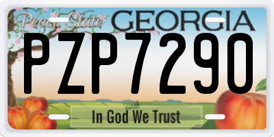 GA license plate PZP7290