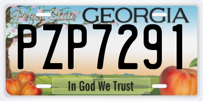 GA license plate PZP7291