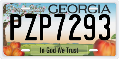 GA license plate PZP7293