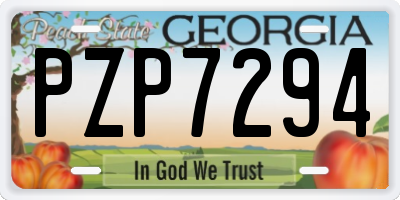 GA license plate PZP7294