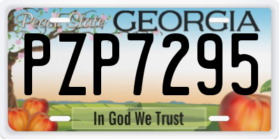 GA license plate PZP7295