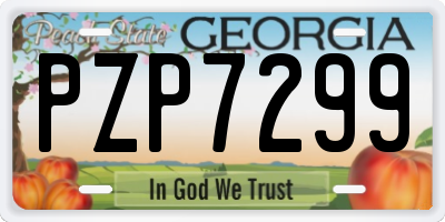 GA license plate PZP7299